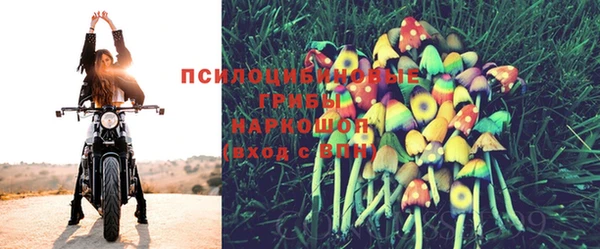 MDMA Аркадак