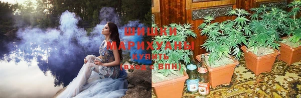 сатива Нязепетровск