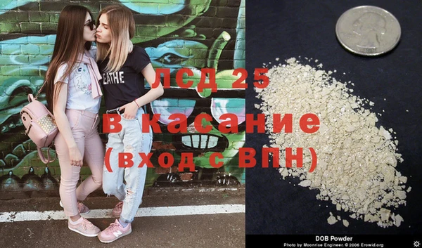 сатива Нягань